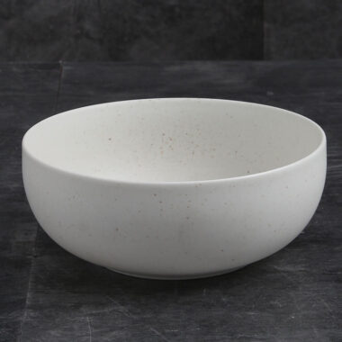 White porcelain dinnerware set