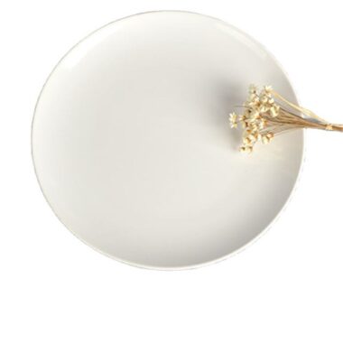 Wholesale Custom Logo Ceramic Dinner Plates – Elegant Porcelain Dessert Charger