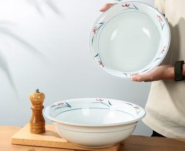 Wholesale Porcelain Ceramic Dinner Plates for Home & Restaurants