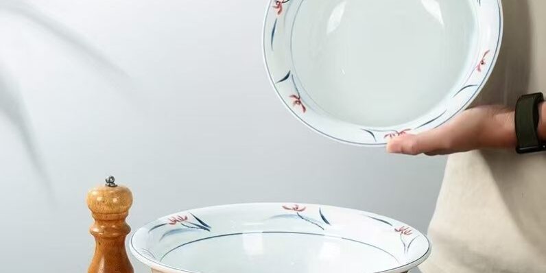 Wholesale Porcelain Ceramic Dinner Plates for Home & Restaurants