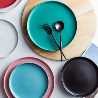 Porcelain Nordic Matte Dinner Plates