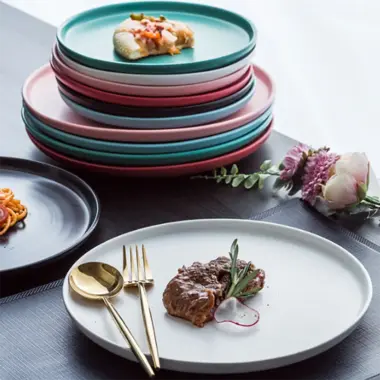 Porcelain Nordic Matte Dinner Plates