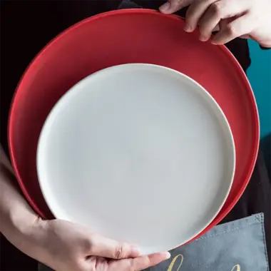 Porcelain Nordic Matte Dinner Plates