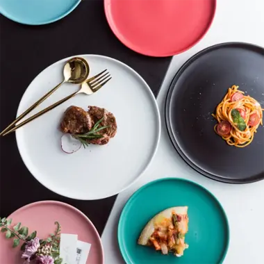 Porcelain Nordic Matte Dinner Plates